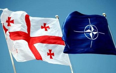 Should Georgia join NATO?